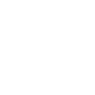 Answer Distribution